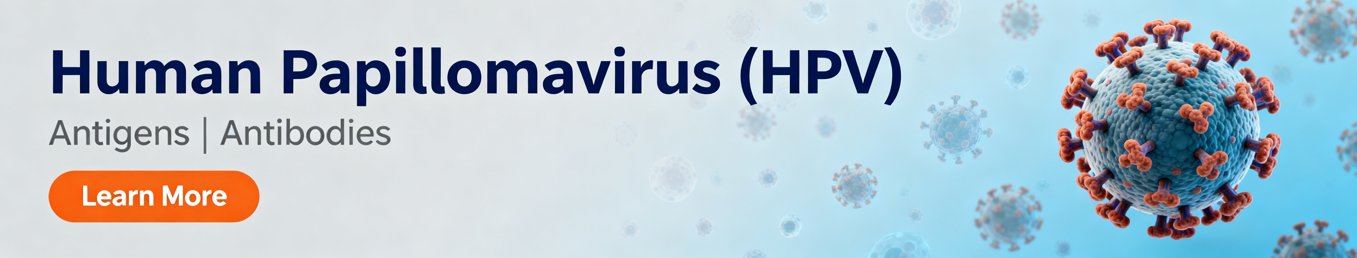Human Papillomavirus (HPV).jpg