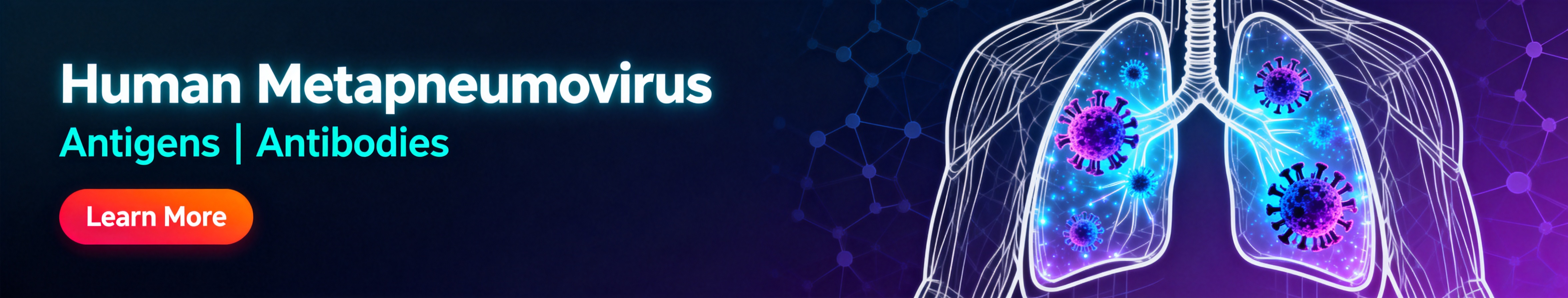 Human Metapneumovirus.jpg