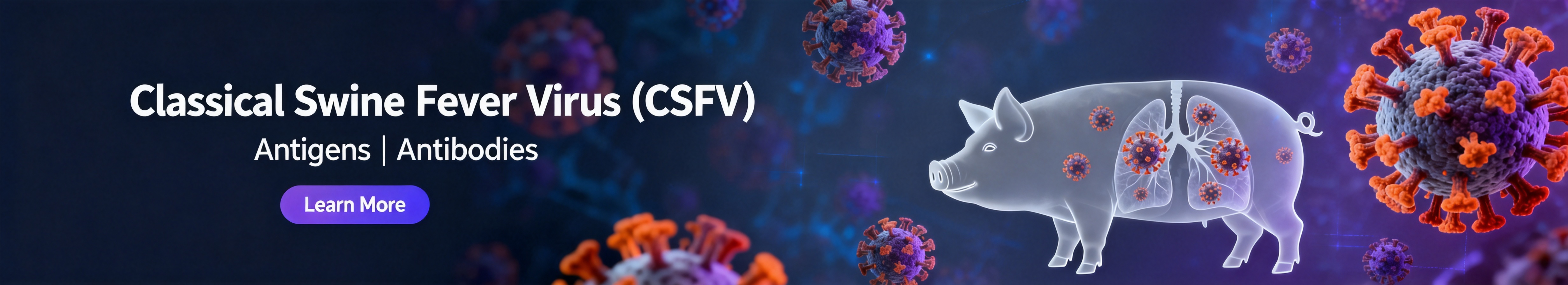 Classical Swine Fever Virus.jpg