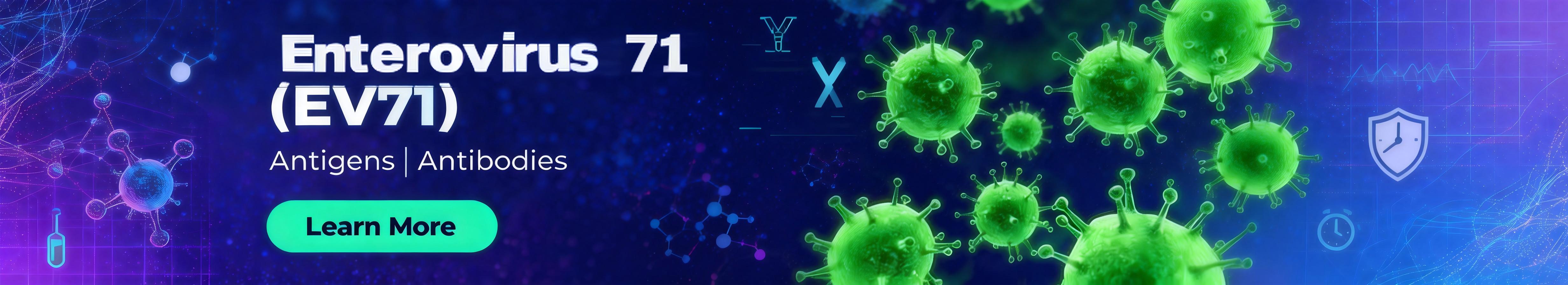 Enterovirus 71 (EV71).jpg