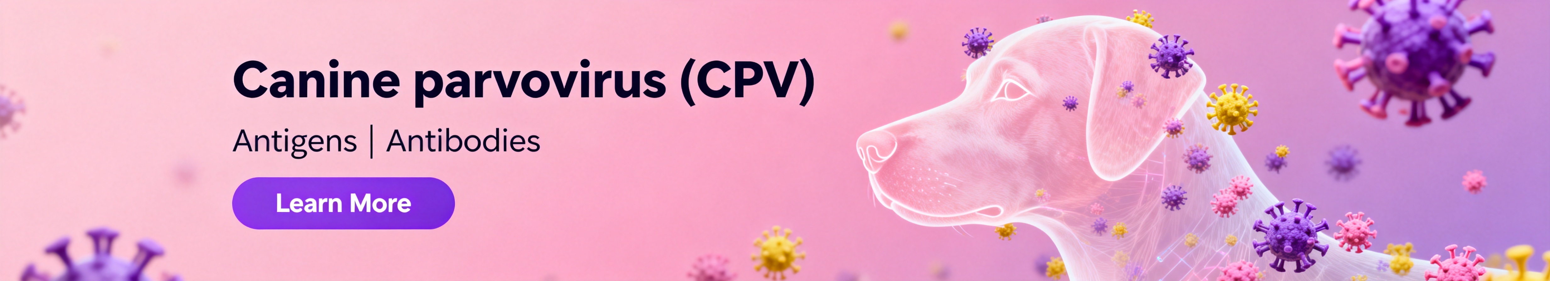 Canine parvovirus（CPV）.jpg