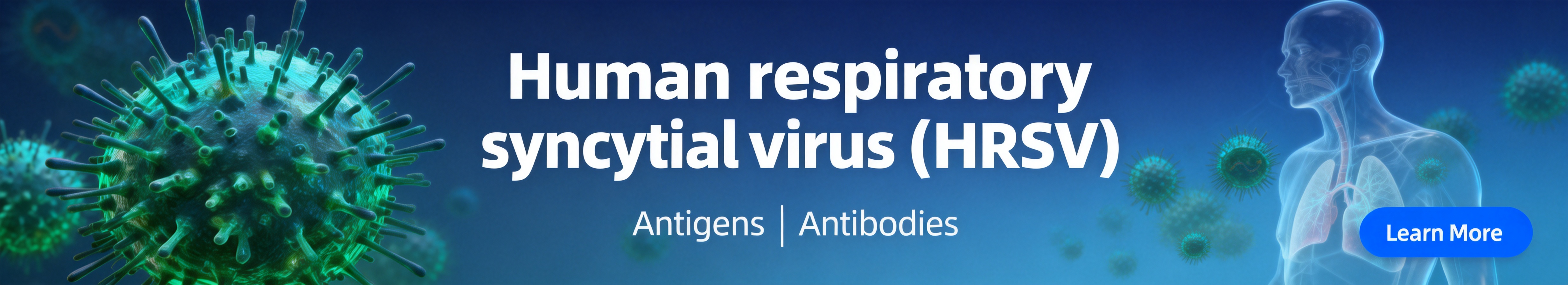 Human respiratory syncytial virus（HRSV）.jpg