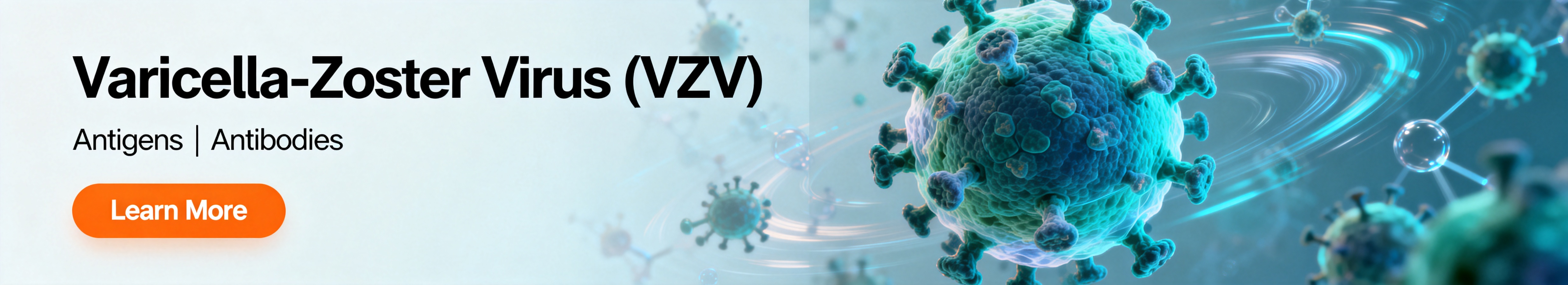 Varicella-Zoster Virus (VZV)