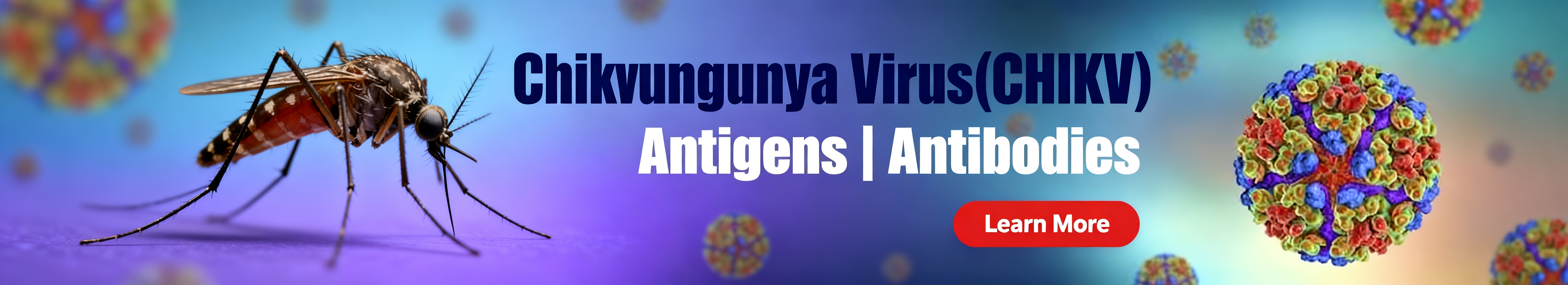Chikungunya Virus