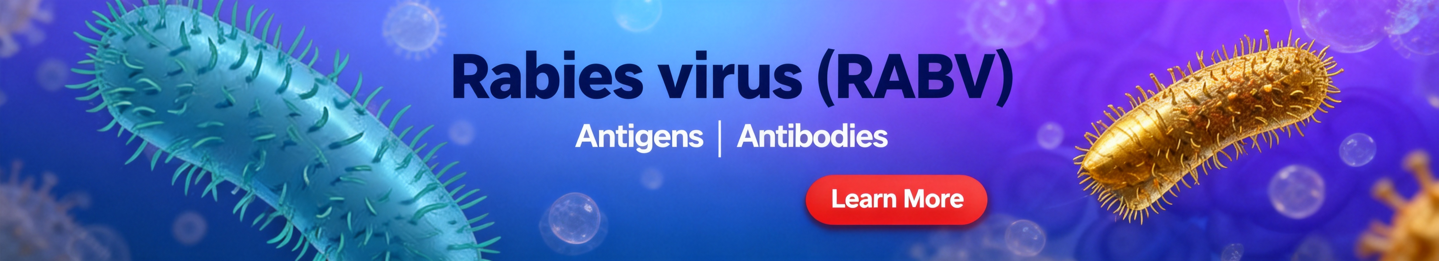 Rabies virus（RABV）