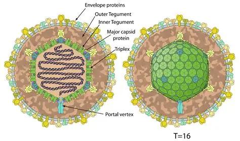 1768306609920927.jpg 图片1.jpg