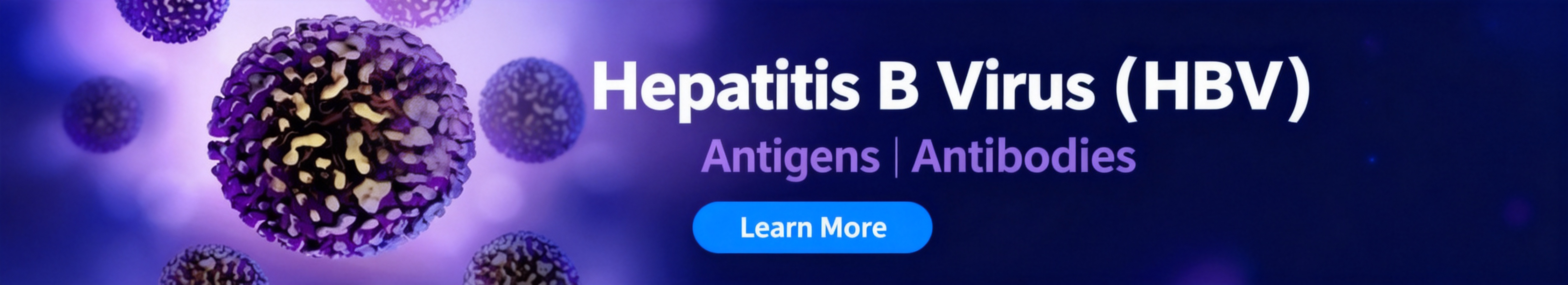 Hepatitis B Virus (HBV)