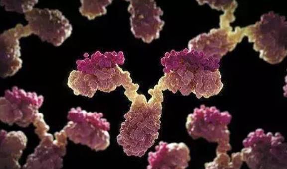 1768353539777924.jpg 图片2.jpg