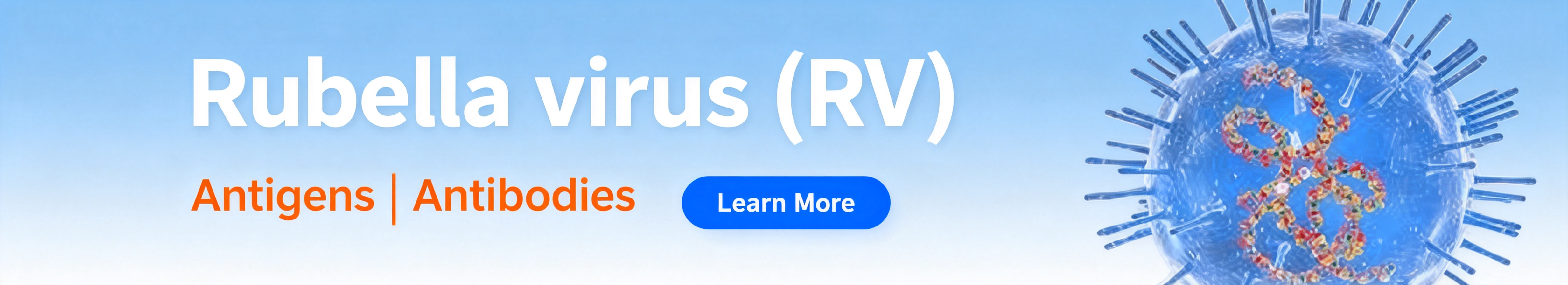 Rubella virus (RV)