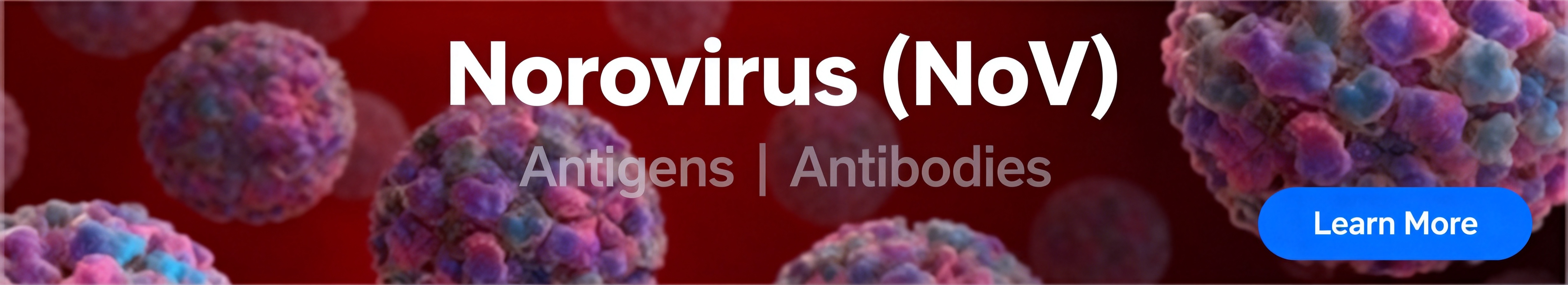 Norovirus（NoV）