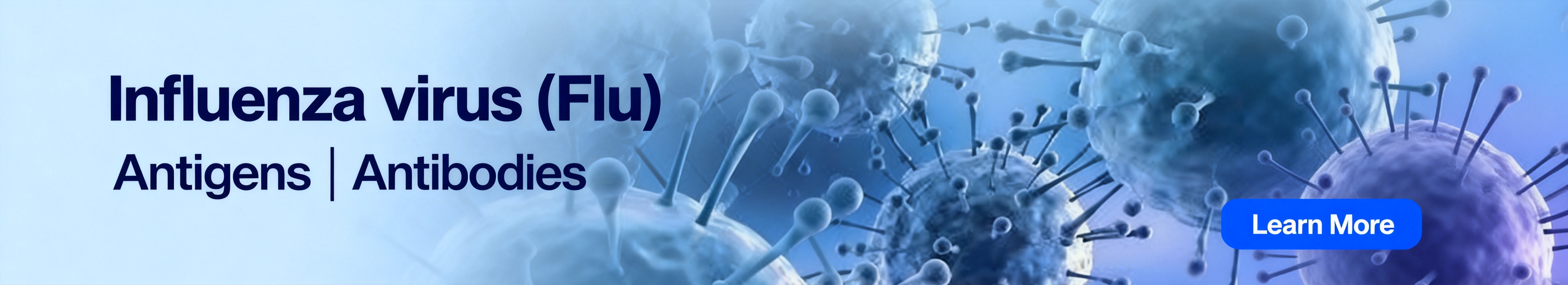 Influenza virus（Flu）