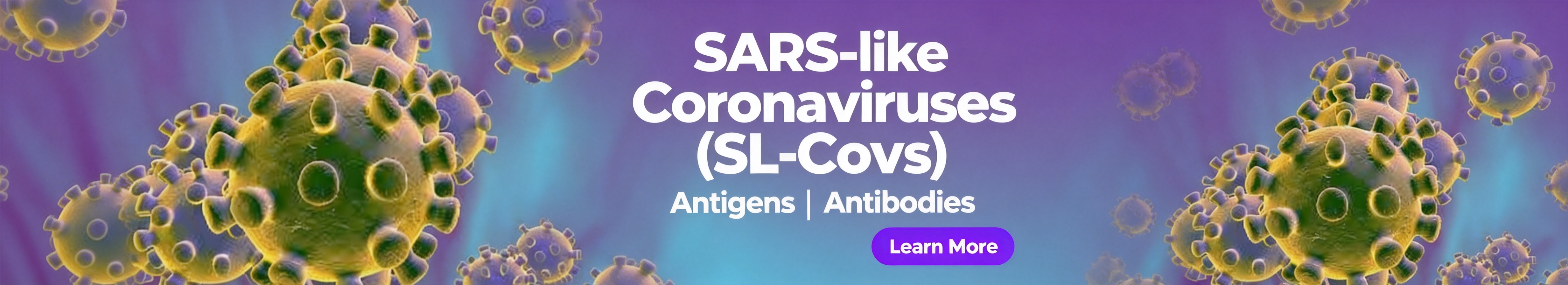 SARS-like Coronaviruses (SL-CoVs)