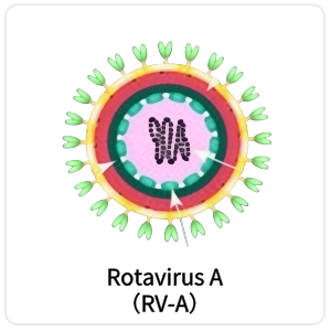 Rotavirus A（RV-A）