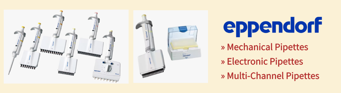 1769564644438490.png 英文页面.png