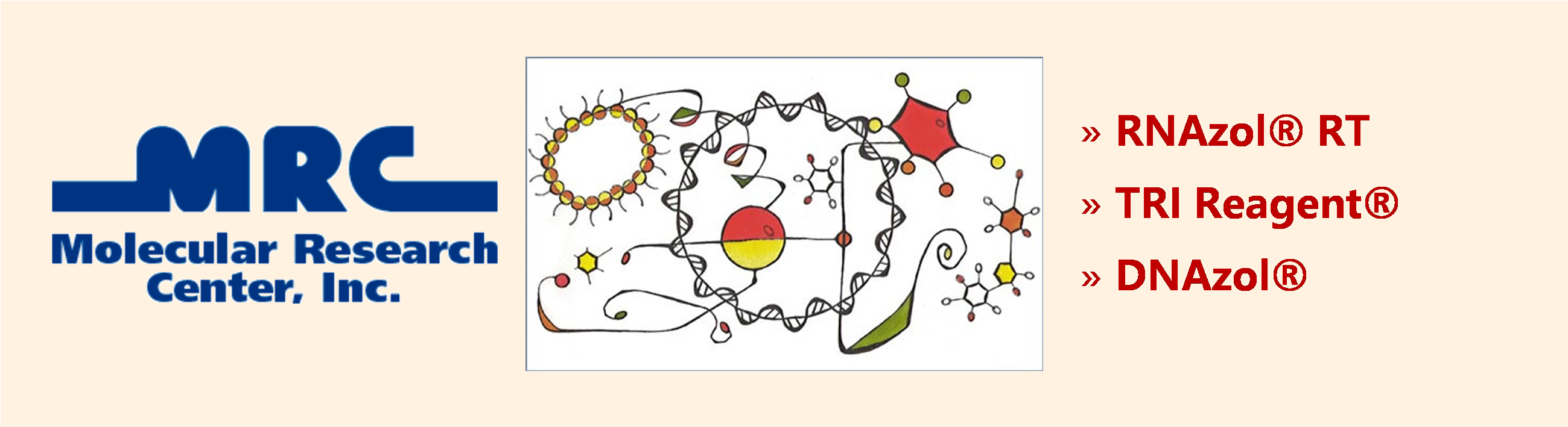 Molecular Research Center.png