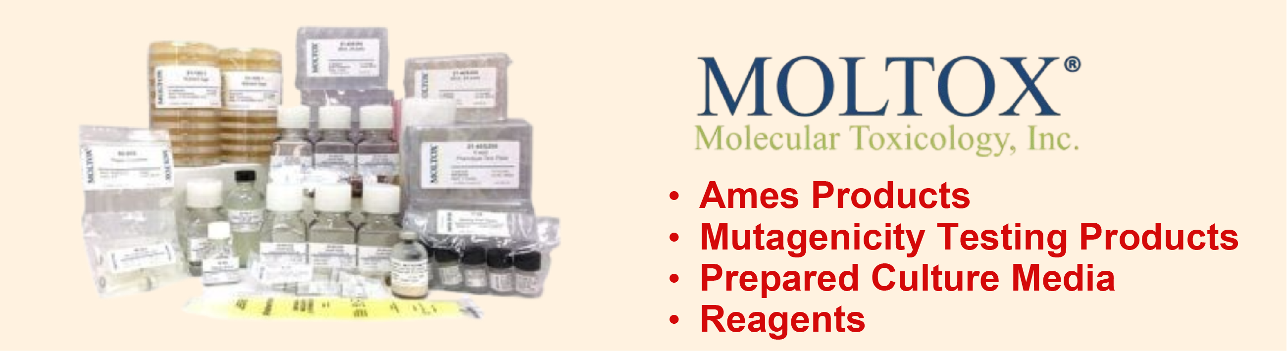 Molecular Toxicology