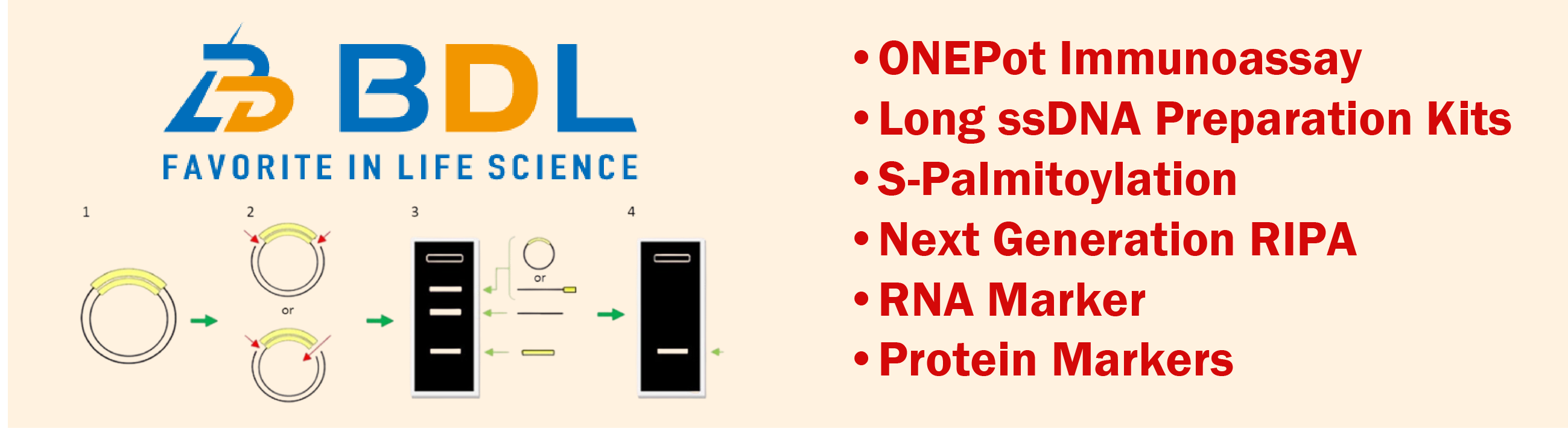 BioDynamics Laboratory