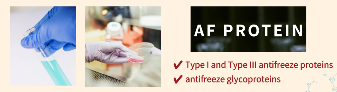 A/F Protein