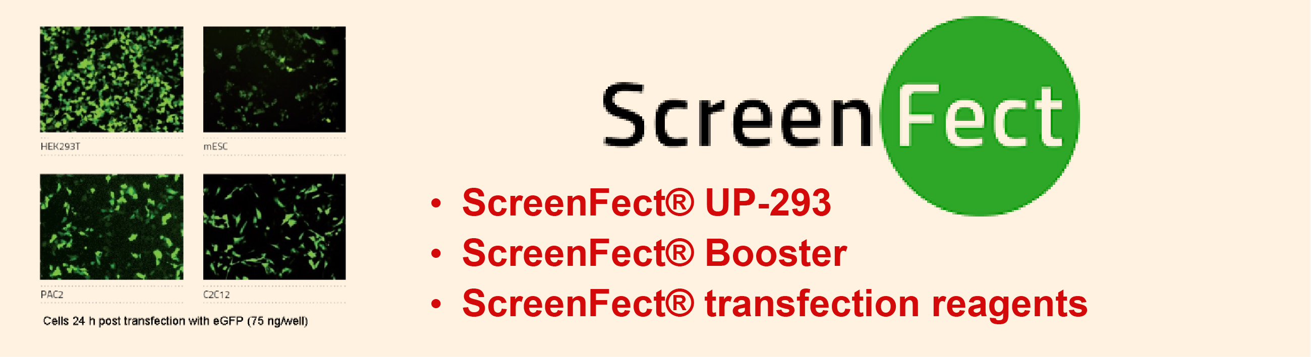 ScreenFect 