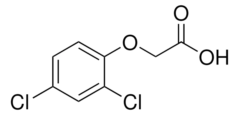 109-D70724.png
