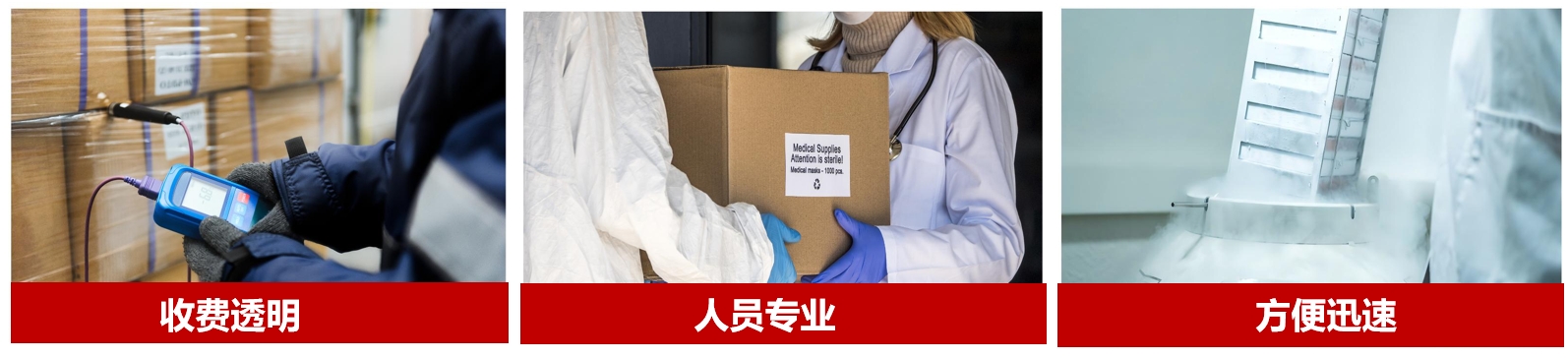 进出口优势.png