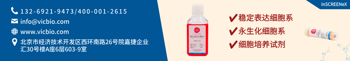 6878a80460ac6.png InSCREENeX页面.png