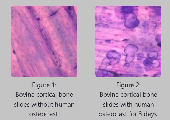 68883852123e3.png 正文图.png