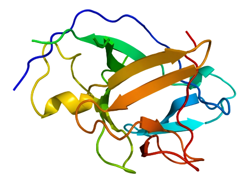 NBL-260004-IL-1 alpha(1).png