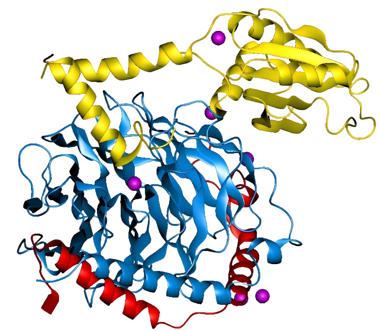 69104d80011ea.png 1b9x_opm(1)(1).png