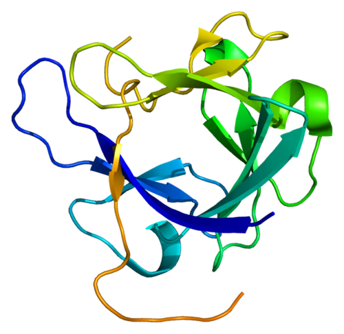 Protein_FGF19_PDB_1pwa.png