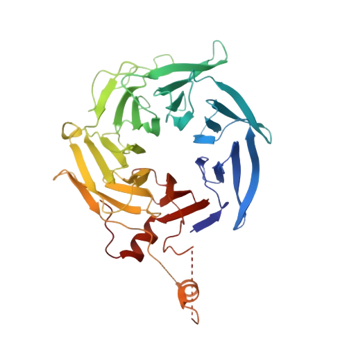 Protein_ARPC1B_PDB_1k8k(1).png