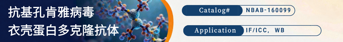 抗Chikungunya Virus Caspid, CHIKV抗体