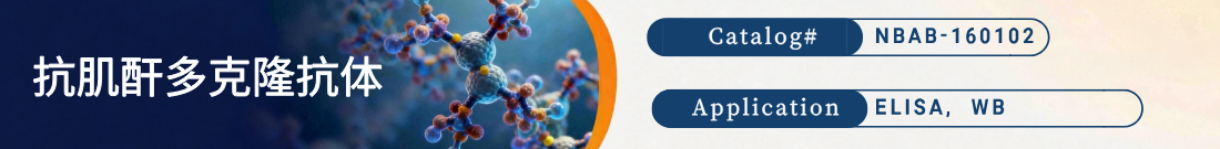 抗肌酐(Creatinine)抗体 抗肌酐(Creatinine)抗体