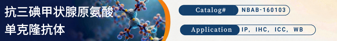 抗三碘甲状腺原氨酸 (T3)抗体