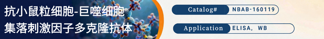 抗小鼠GM-CSF抗体