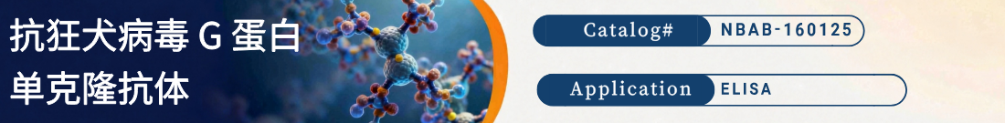 抗狂犬病毒 G 蛋白抗体