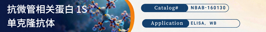 抗人MAP1S抗体 抗人MAP1S抗体