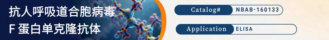 抗人呼吸道合胞病毒 F 蛋白抗体