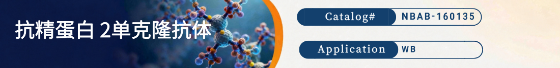 抗精蛋白 2抗体
