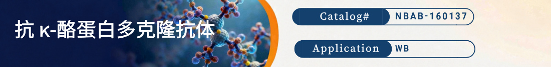抗κ-酪蛋白抗体