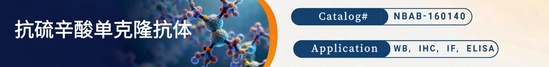 抗硫辛酸抗体 抗硫辛酸抗体