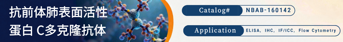 抗前体肺表面活性蛋白 C抗体