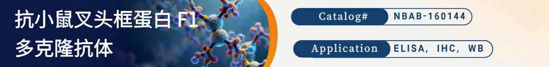 抗小鼠叉头框蛋白 F1抗体
