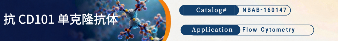 抗人CD101抗体
