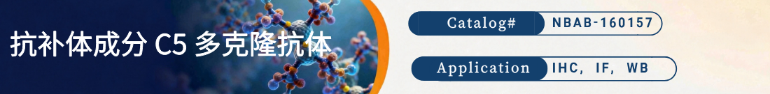 抗C5抗体