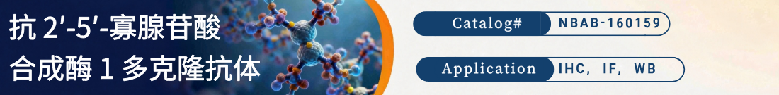 抗2′-5′-寡腺苷酸合成酶 1抗体