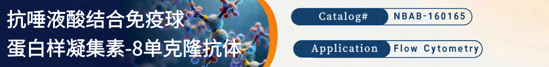 抗人Siglec-8抗体