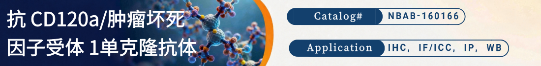 抗CD120a/肿瘤坏死因子受体 1抗体