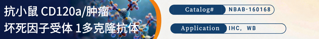 抗CD120a/TNFR1抗体