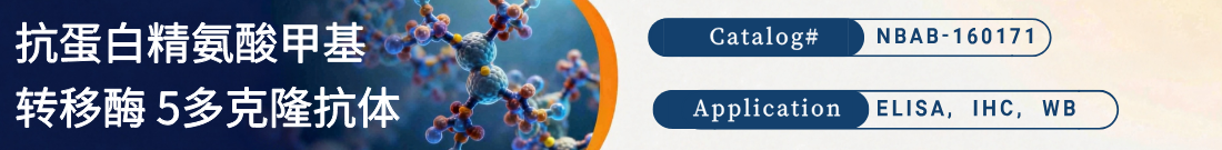 抗蛋白精氨酸甲基转移酶 5抗体 抗蛋白精氨酸甲基转移酶 5抗体
